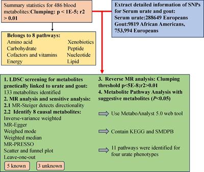 Causal impact of human blood metabolites and metabolic pathways on serum uric acid and gout: a mendelian randomization study